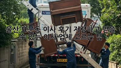 울산 효문동 이사 후기: 저렴하고 믿을 수 있는 이사 업체 고르는 팁!