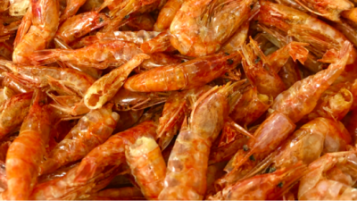 놓치면 후회! 햇 홍새우건새우 특가 후기🦐✨