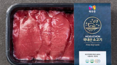 육전용 소고기 득템 찬스! ✨ 황금 레시피 후기 공개